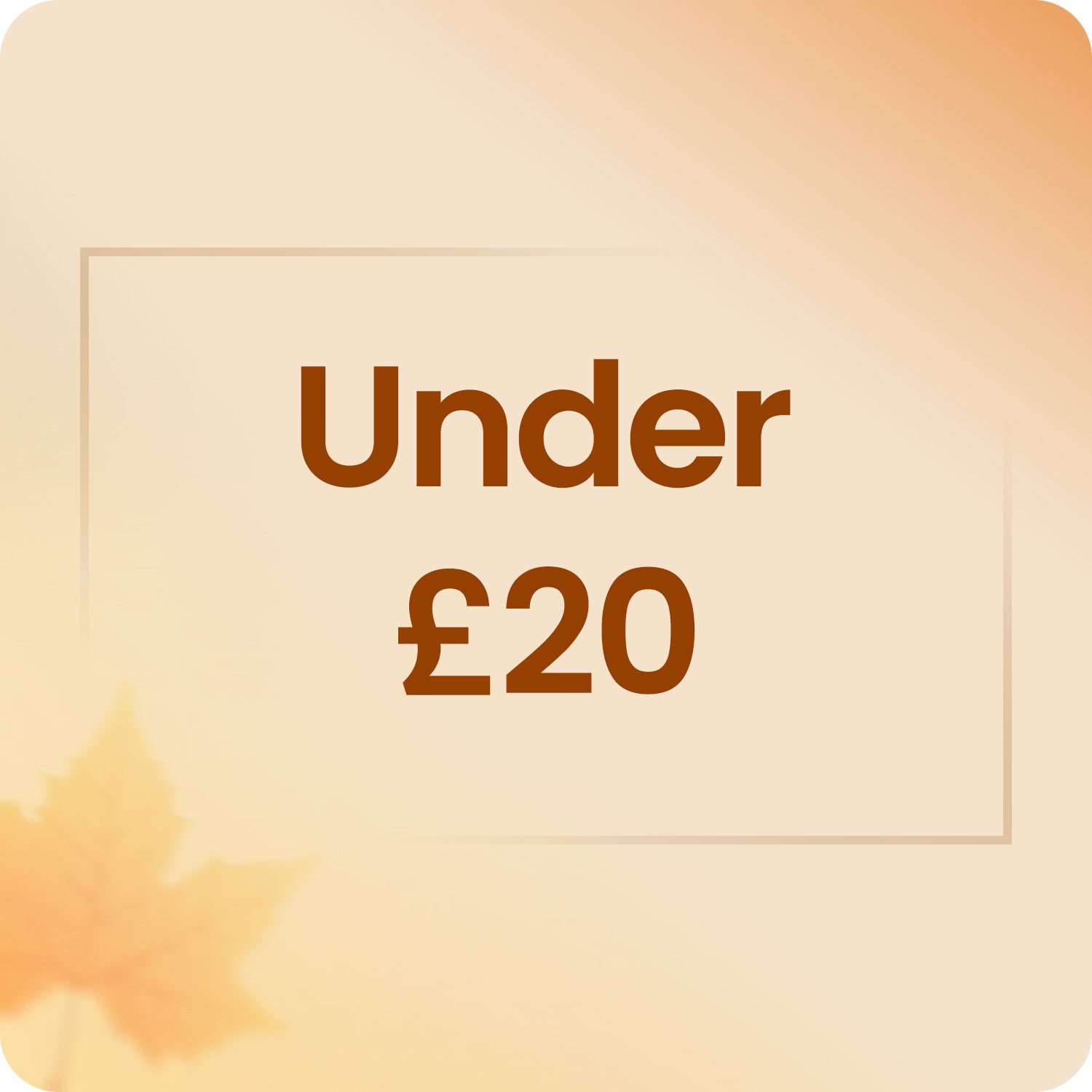 Under £20