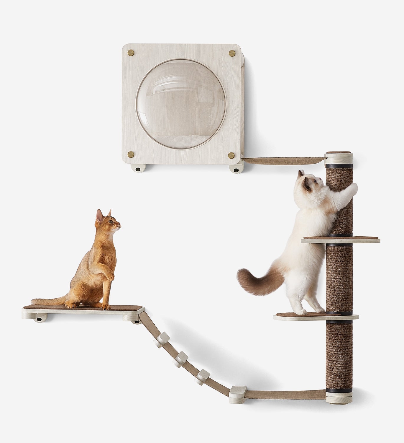 Cat best sale wall system