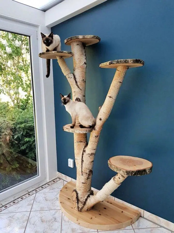 DIY Cat Tree Ideas Creating a Feline Paradise SONGMICS HOME